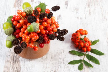 Kızılağaç koni ve meşe palamutları rustik ahşap arka plan üzerinde kırmızı kartopu demet