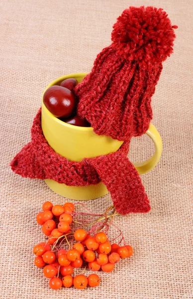 Décoration d'automne avec foulard enveloppé de tasse et bonnet en laine sur toile de jute — Photo