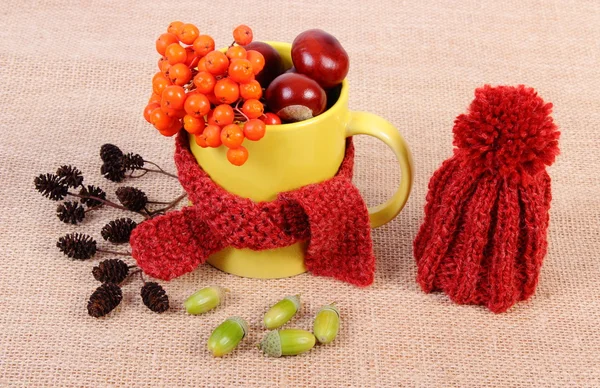 Décoration d'automne avec foulard enveloppé de tasse et bonnet en laine sur toile de jute — Photo