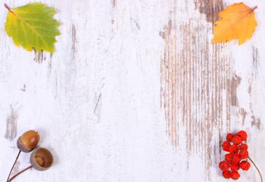 Ahşap arka plan üzerinde metin için sonbahar dekorasyon ve kopya alanı