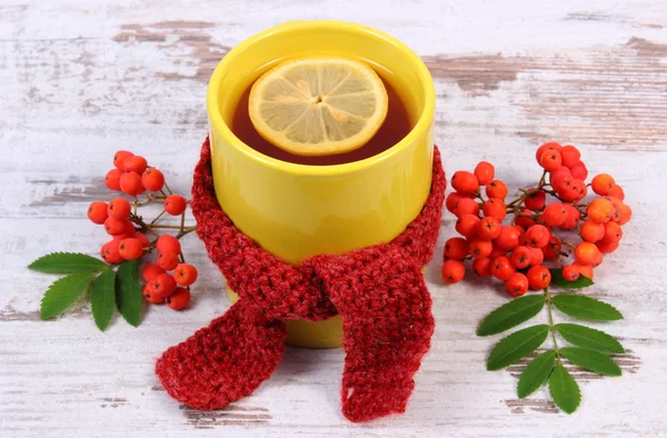 Xícara de chá com cachecol de lã envolto de limão, bebida de aquecimento para gripe, decoração de outono — Fotografia de Stock