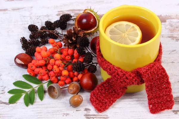 Taza de té con pañuelo de lana envuelto en limón, bebida caliente para la gripe, decoración de otoño — Foto de Stock