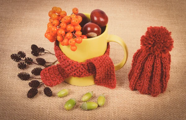 Vintage foto, decoração de outono com copo envolto cachecol e boné de lã na serapilheira — Fotografia de Stock
