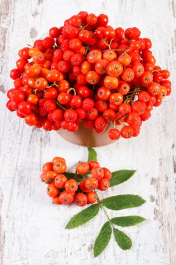 Demet yapraklarla rustik ahşap arka plan üzerinde kırmızı rowan