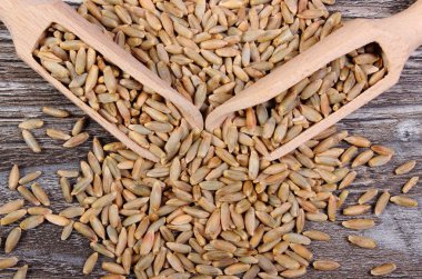 Ahşap zemin üzerine kaşıkla çavdar tahıl