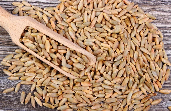 Grano de centeno con cuchara sobre fondo de madera —  Fotos de Stock