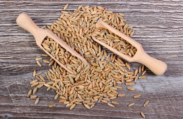 Rye grain with spoon on wooden background — Stock Photo, Image