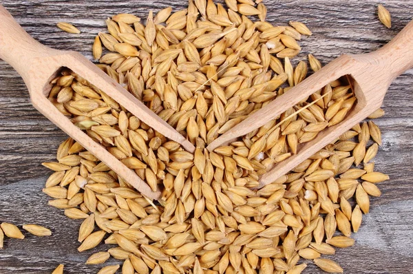 Gerst graan met lepel op houten achtergrond — Stockfoto