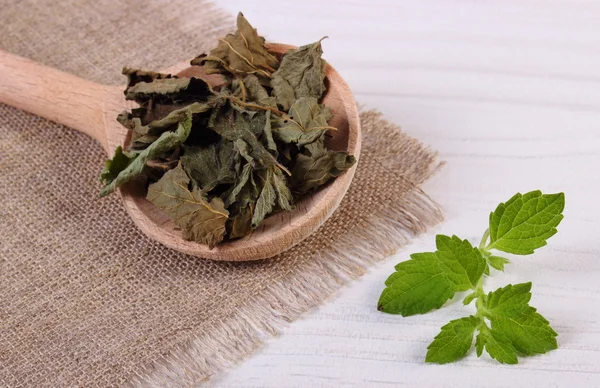 Bálsamo de limón fresco y seco con cuchara sobre mesa de madera blanca, herbalismo —  Fotos de Stock