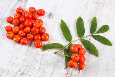 Demet yapraklarla rustik ahşap arka plan üzerinde kırmızı rowan