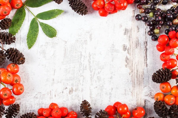 Marco de frutas otoñales de bosque y espacio de copia para texto — Foto de Stock