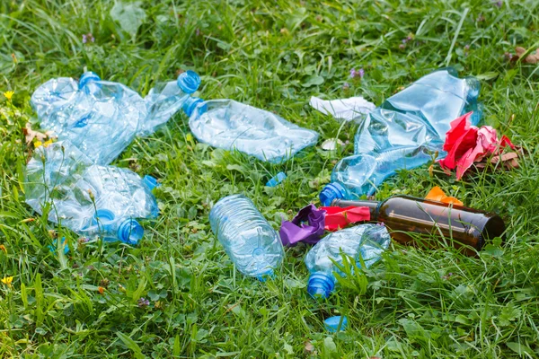 Águia de lixo na grama no parque, lixo de ambiente — Fotografia de Stock