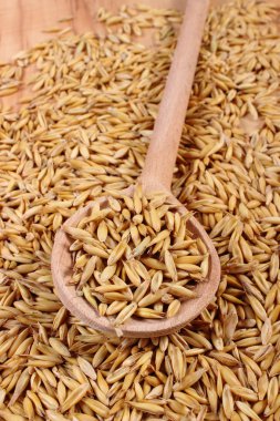 Organik yulaf taneleri tahta kaşıkla, sağlıklı beslenme