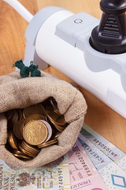 Elektrik güç uzatma kablosuna bağlı Tak ve Polonya para birimi para, enerji maliyetleri ile
