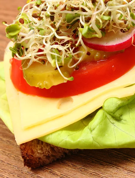 Vegetarische sandwich met luzerne en radijs spruiten — Stockfoto