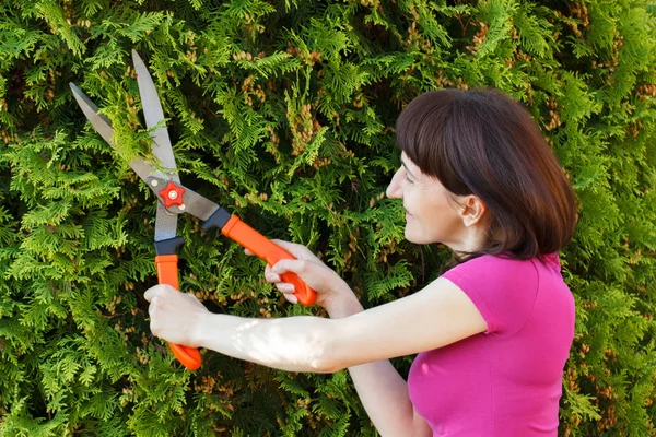 Woman uses gardening tool to trim bushes, seasonal trimmed bushes — Stock Photo, Image