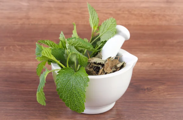 Fresh green and dried lemon balm in mortar, herbalism, alternative medicine — Stock Photo, Image