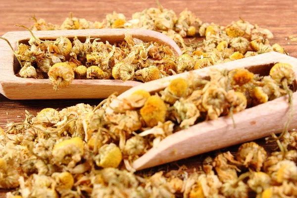 Dried chamomile on wooden table, alternative medicine — Stock Photo, Image