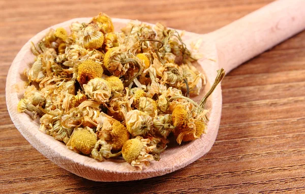 Dried chamomile on wooden spoon, alternative medicine — Stock Photo, Image