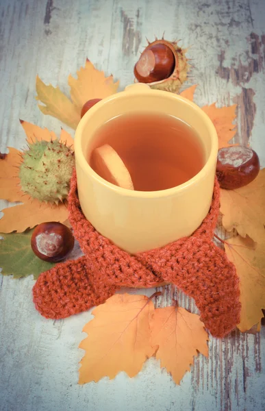 Photo vintage, tasse de thé avec écharpe en laine enveloppée de citron — Photo