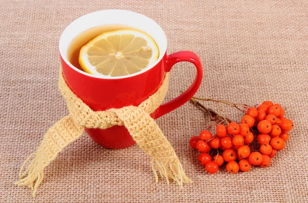Taza de té con pañuelo de lana envuelto en limón y decoración otoñal — Foto de Stock