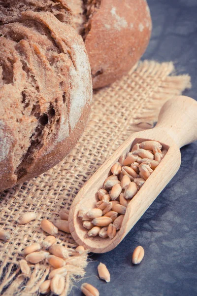 Fresh Baked Wholegrain Rolls Seeds Rye Wheat Grain — Stock Photo, Image