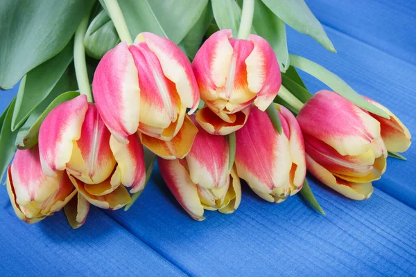 Bouquet Fresh Tulips Blue Boards Surprise Birthday Valentine Other Occasion — Stock Photo, Image