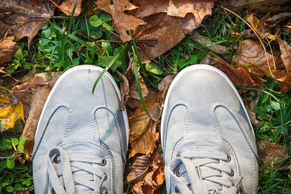 Bequeme Lässige Graue Lederschuhe Auf Grünem Gras Mit Orangefarbenen Herbstblättern — Stockfoto