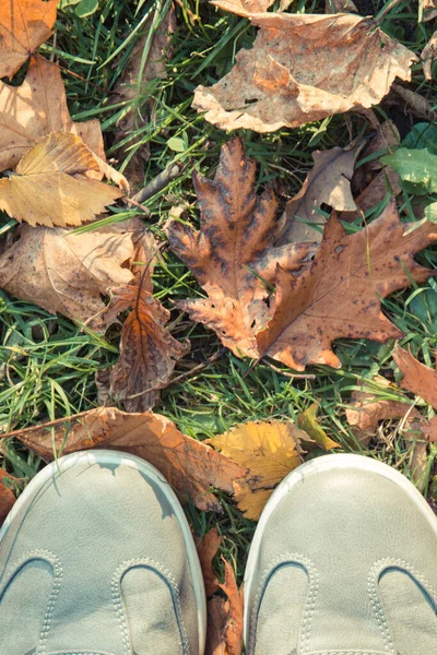 Cómodos Zapatos Casuales Cuero Gris Sobre Hierba Verde Con Hojas —  Fotos de Stock