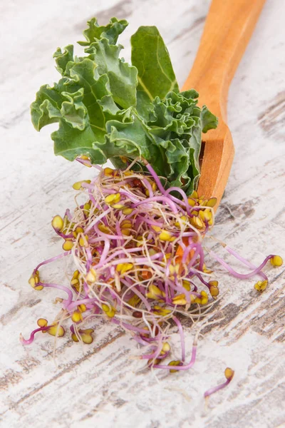 Fresh Kale Sprouts Green Leaves Vegetable Wooden Fork Food Containing — Stock Photo, Image