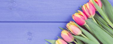 Eski bir fotoğraf. Mavi panolarda bir buket taze lale, metin veya yazıtlar için kopyalama alanı