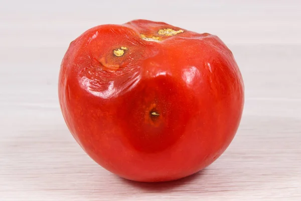 Tomate Ridée Gâtée Avec Moisissure Concept Légume Malsain Dégoûtant — Photo