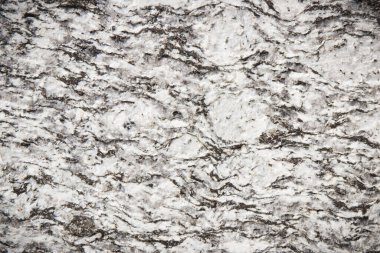 Arkaplan ya da zemin olarak beton yapısı. Metin veya yazı için boşluk kopyala