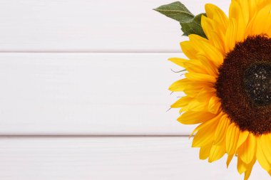 Beyaz tahta üzerinde sarı ayçiçeği. Dekorasyon ve yaz zamanı konsepti. Metin veya yazı için boşluk kopyala
