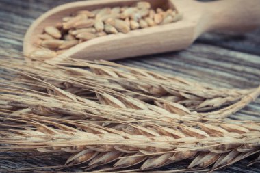 Kırsal tahtanın üzerinde bir yığın çavdar tohumu. Tarım kavramı