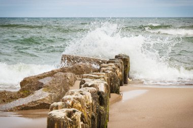 Sahildeki ahşap dalgaların ve deniz dalgalarının manzarası. Denizde fırtınalı ve rüzgarlı bir gün