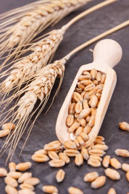 Bir yığın çavdar ya da kaşık ve mısır gevreği ile buğday taneleri.