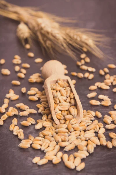 Semillas Cereales Con Cuchara Madera Espigas Centeno Granos Trigo Foto —  Fotos de Stock