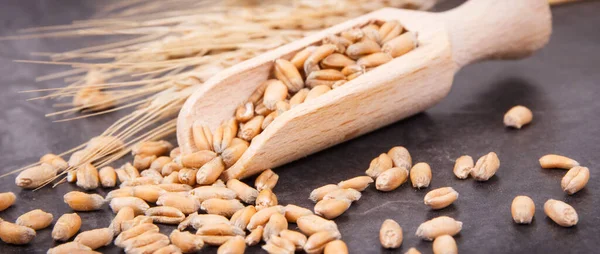 Granos Centeno Trigo Con Cuchara Madera Espigas Cereales —  Fotos de Stock