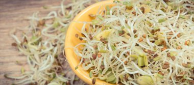 Alfalfa ve turp filizleri sandviçlere sağlıklı, besleyici ve doğal bir ilave.