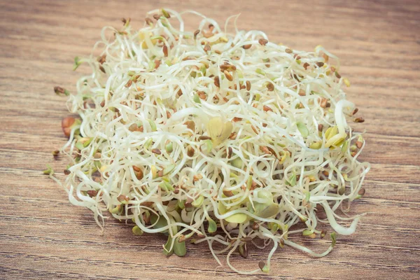 Alfalfa Radish Sprouts Healthy Nutritious Natural Addition Sandwiches — Stock Photo, Image