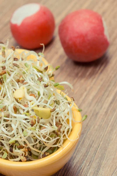 Brotes Alfalfa Rábano Como Saludable Adición Natural Nutritiva Los Sándwiches —  Fotos de Stock