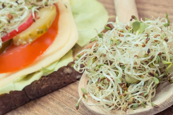 Turp Filizi Peynirli Kepekli Sandviç Sebze Sağlıklı Lahanalar Doğal Vitaminler — Stok fotoğraf