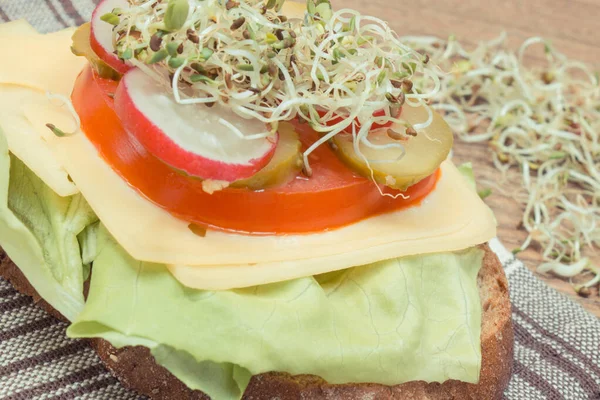 Сэндвич Хлебом Цельной Муки Свежими Овощами Здоровой Редькой Природные Витамины — стоковое фото