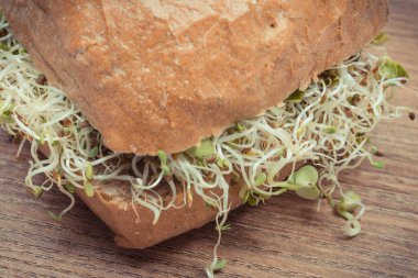 Alfalfa ve turp lahanası bir dilim ekmek ya da rulo ile. Sandviçlere sağlıklı bir ilave. Doğal vitaminler ve mineraller
