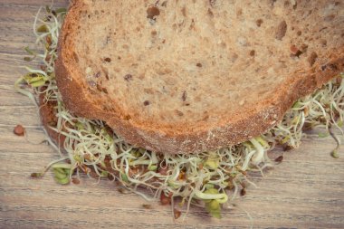 Alfalfa ve bir dilim ekmekle birlikte turp filizleri. Sandviçlere sağlıklı bir ilave. Doğal vitaminler ve mineraller