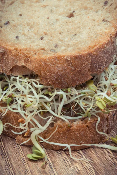 Alfalfa Radijs Spruiten Met Sneetje Brood Gezonde Toevoeging Aan Sandwiches — Stockfoto