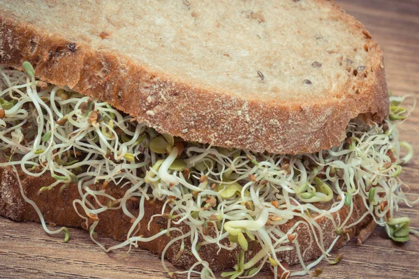 Alfalfa Radijs Spruiten Met Sneetje Brood Gezonde Toevoeging Aan Sandwiches — Stockfoto