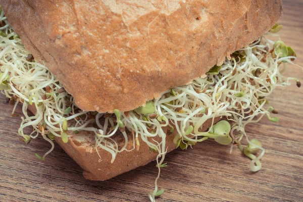 Alfalfa ve turp lahanası bir dilim ekmek ya da rulo ile. Sandviçlere sağlıklı bir ilave. Doğal vitaminler ve mineraller