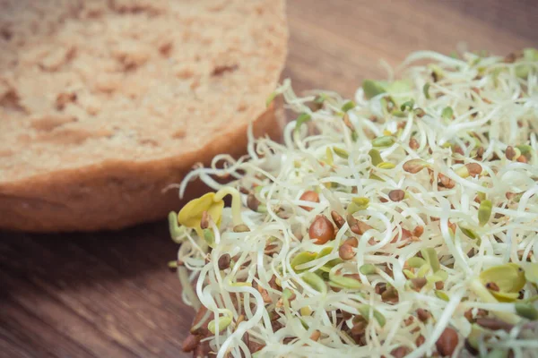 Luzerne Und Rettichsprossen Mit Scheiben Brot Oder Brötchen Gesunde Beilage — Stockfoto